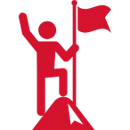 values icon